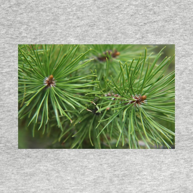 Pine needles by ReanimatedStore